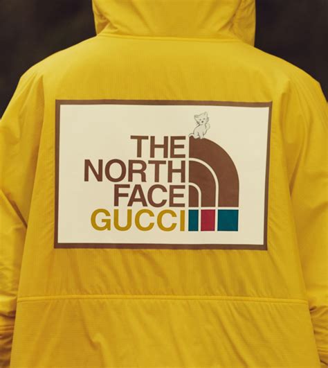 the north face gucci collaboration|The North Face Gucci tracksuit.